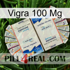 Vigra 100 Mg kamagra1